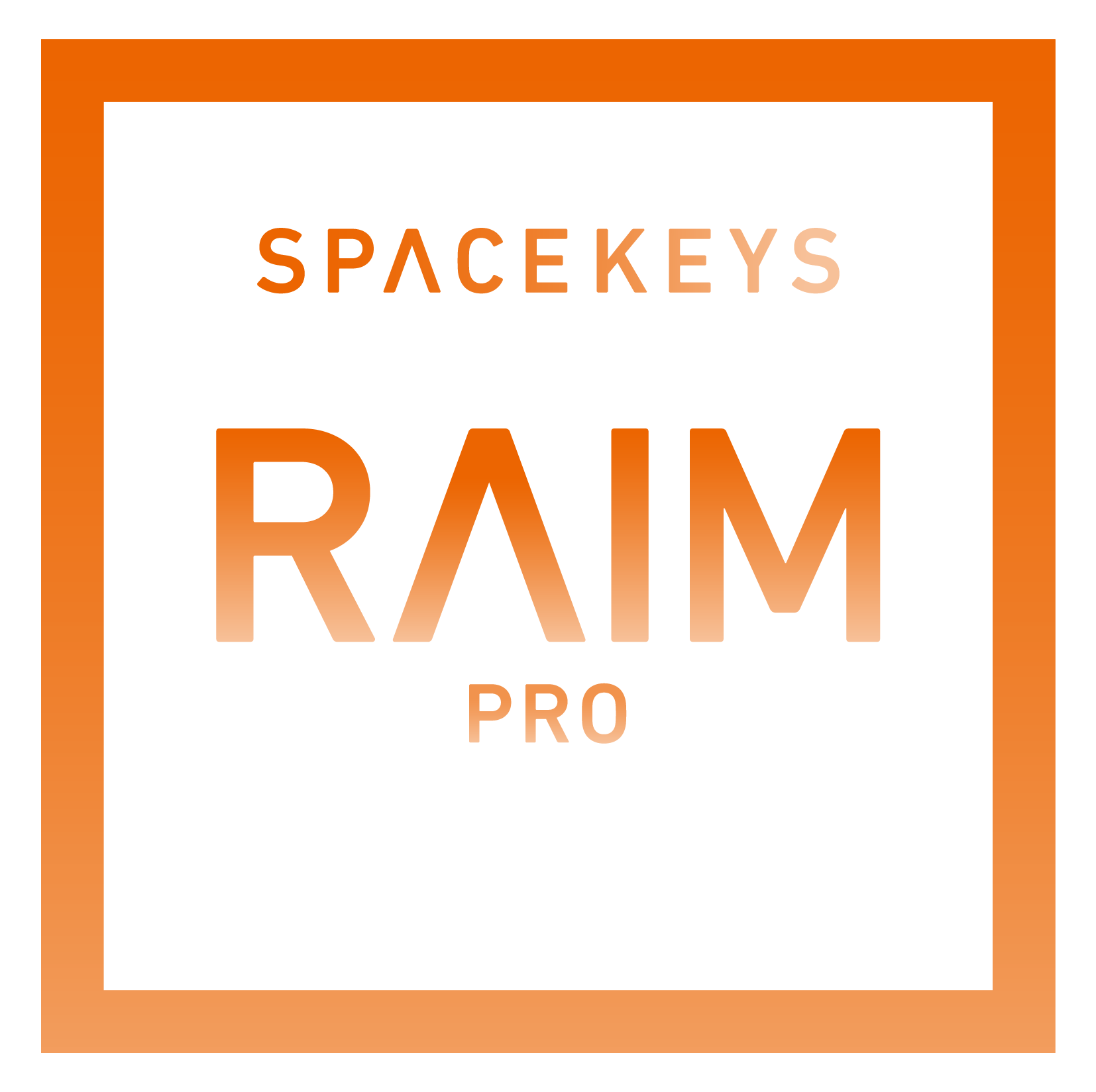 SPACEKEYS RAIM PRO